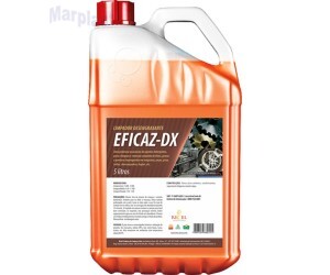 RICCEL LIMPADOR EFICAZ-DX 5 LT