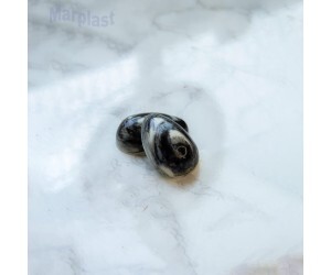 PÁSCOA BWB SILICONE OVO LISO 6 CAVIDADES/30GR