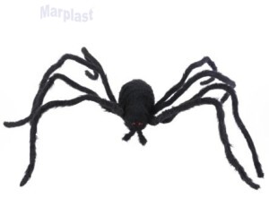 ARANHA C/SOM E MOVIMENTO GRANDE