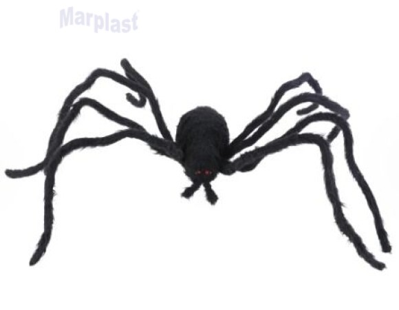 ARANHA C/SOM E MOVIMENTO GRANDE